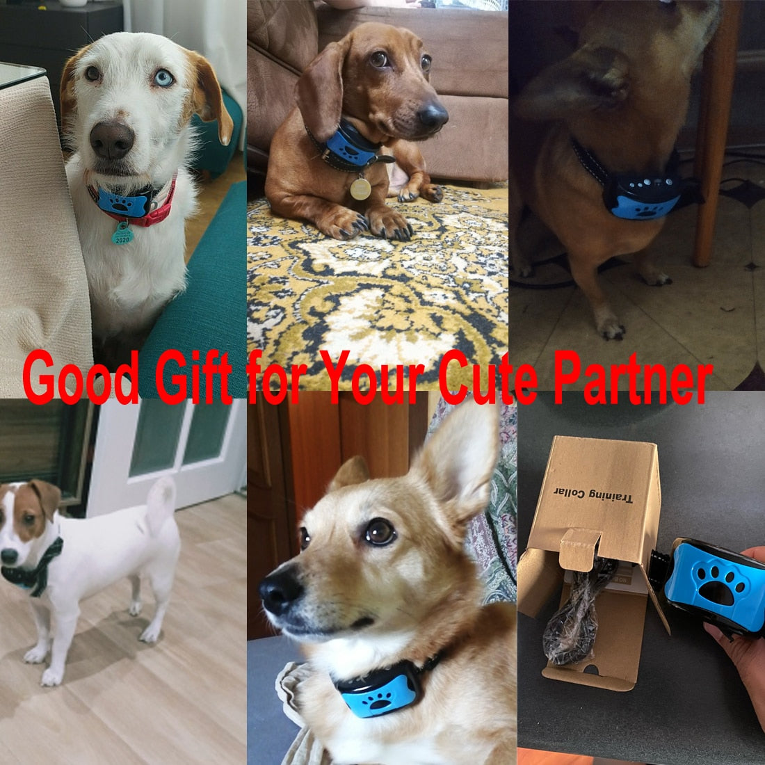 Anti-Bark Training Collar — Ultrasonic + Vibration, No Guesswork